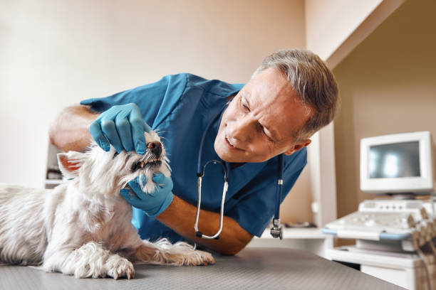 Best Emergency Dentist for Special Needs Patients in Hemet, CA